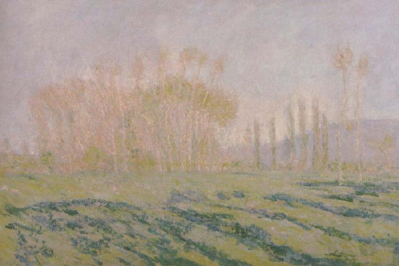 Claude Monet Meadow with Poplars